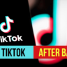 When Will Tiktok Be Back In The App Store ?